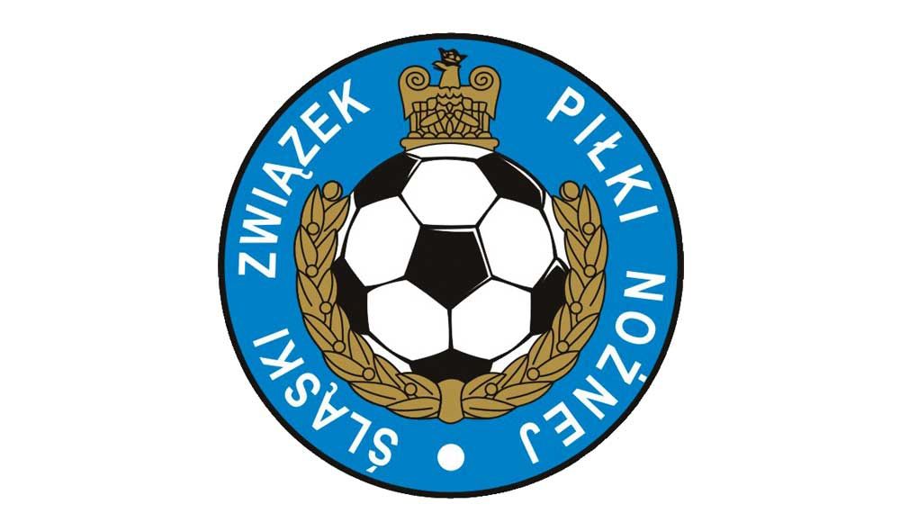 W podokręgach Śląskiego Związku Piłki Nożnej czekają na decyzje w sprawie dokończenia sezonu